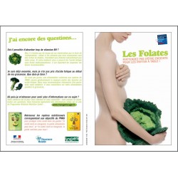 Les Folates (Brochure)