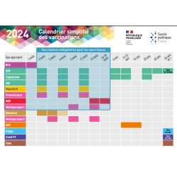 Vaccination : êtes-vous à jour ? Calendrier simplifié des vaccinations 2024 [Carte postale]